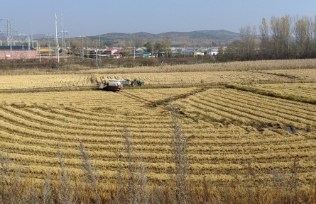 黑龍江哈爾濱出臺黑土地保護(hù)工程實(shí)施方案