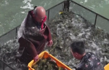 天津海關(guān)助力活魚搶“鮮”出口