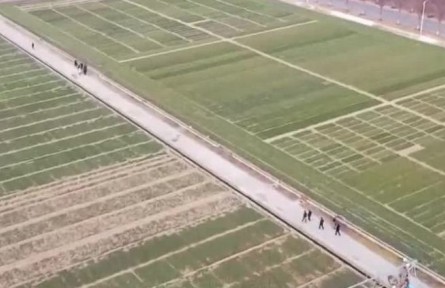 全國(guó)春耕備耕工作陸續(xù)展開 春耕里的“數(shù)字麥田”