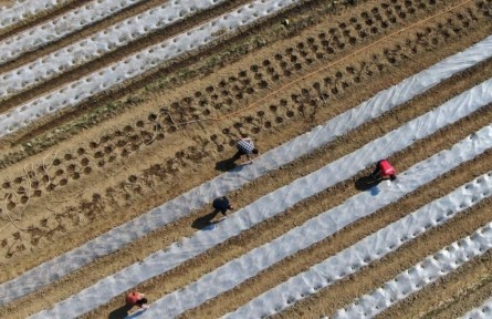 貴州黔南州搶抓農(nóng)時(shí) 有序開展春耕備耕