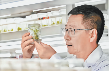 張應(yīng)龍：扎根沙漠的“種樹人”