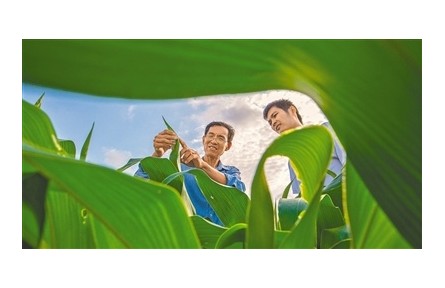 南繁育種專家馬文全：種苗發(fā)芽 夢想開花