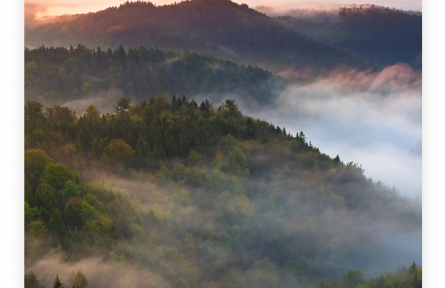 名言 | 孟子：所不慮而知者，良知也