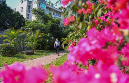 海南?？冢?022年完成8個“口袋公園”建設 新增公園面積2.74公頃