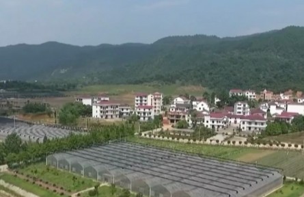 【權(quán)威部門話開(kāi)局】2023年全面推進(jìn)鄉(xiāng)村振興重點(diǎn)工作明確