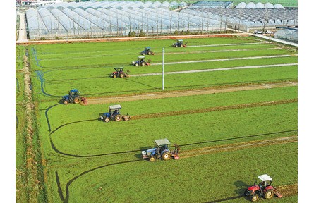 春耕備耕扎實推進 糧食穩(wěn)產(chǎn)底氣更足