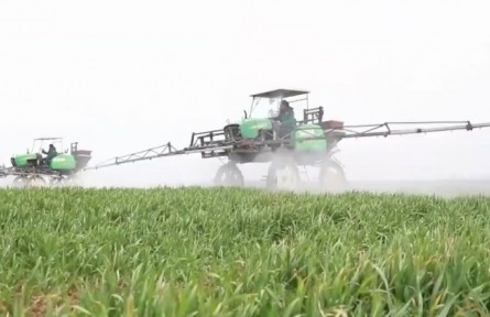 湖北：種植標(biāo)準(zhǔn)化 帶來好身價(jià)