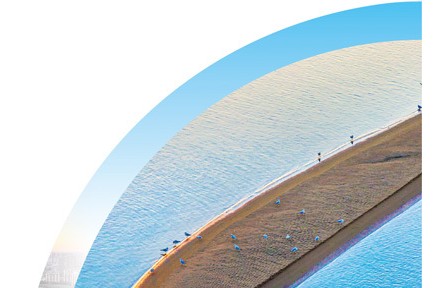 松嫩鶴鄉(xiāng)：蒹葭蒼蒼，鶴舞翩躚