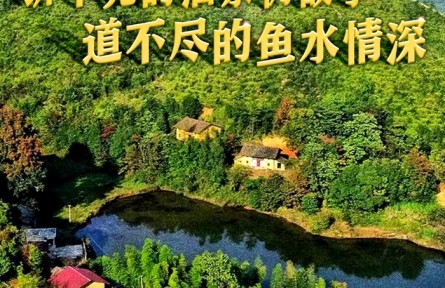 十年兩會(huì)·溫暖記憶｜“講不完的油茶樹(shù)故事，道不盡的魚(yú)水情深”