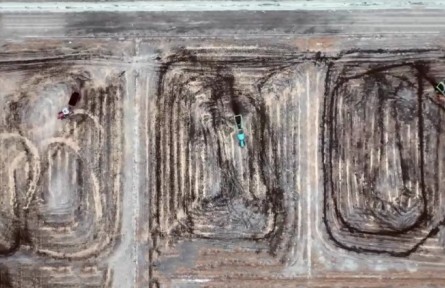 葛艷?。翰幻胤N水稻 鹽堿地飄出稻花香