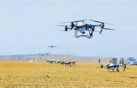 山東：小麥春管忙不停，夏糧豐收增保障——山東扎實(shí)推進(jìn)鄉(xiāng)村振興一線見(jiàn)聞（上）