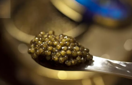 25萬一勺魚子醬，為何到中國淪為“白菜價”？外媒：你們“毀”了它