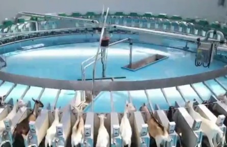 陜西：抓項目促招商 全力推進畜牧業(yè)高質(zhì)量發(fā)展