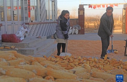 全國人大代表王穎：“有情懷 會(huì)妙招 富鄉(xiāng)親” 做新時(shí)代返鄉(xiāng)新農(nóng)人