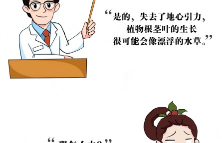 上天入地，沒有什么能阻止中國人種菜的腳步！