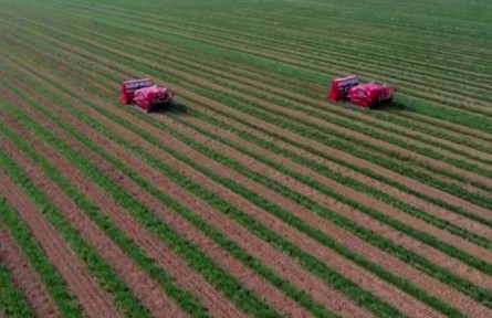 河南漯河：小麥進(jìn)入返青期 智慧設(shè)備助春管