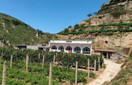 陜西米脂：庭院“方寸地” 群眾“增收?qǐng)@”