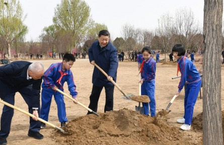 植樹節(jié)，跟著總書記一起種下綠色的希望