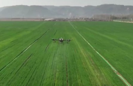 8500萬畝小麥進(jìn)入返青起身期 河南各地運(yùn)用科技助力春管