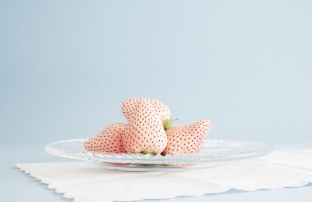 辟謠 | 白色草莓是轉(zhuǎn)基因水果嗎？