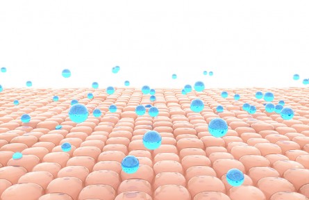 科技名詞 | 皮膚老化 skin aging，cutaneous aging