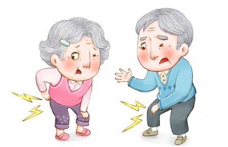 科技名詞 | 骨質(zhì)疏松  osteoporosis，OP
