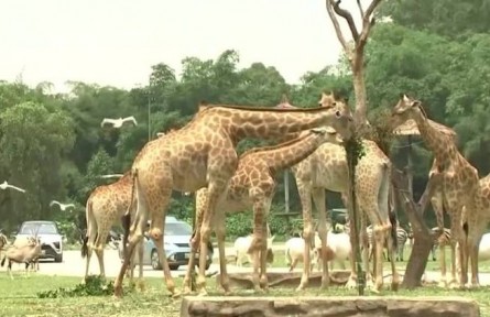 2022年度中國古生物學十大進展發(fā)布