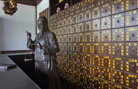 科技名詞 | 金匱要略 Jingui Yaolüe，Synopsis of Golden Chamber