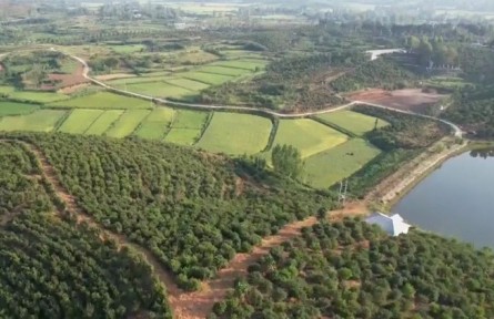 河南：延長產(chǎn)業(yè)鏈條 農(nóng)業(yè)與工業(yè)夢(mèng)幻聯(lián)動(dòng)