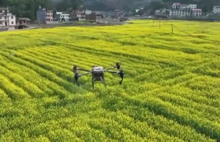 春耕備耕：農(nóng)資保供跟得上 供應(yīng)量足價(jià)穩(wěn)