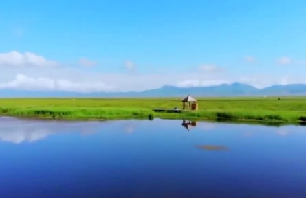 【新思想引領(lǐng)新征程】加強(qiáng)生態(tài)保護(hù)修復(fù) 厚植美麗中國(guó)根基