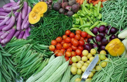 中荷無土栽培技術培訓班（每月一期，預約報名）