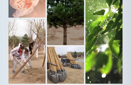 時政新聞眼 | 在今年首都義務(wù)植樹現(xiàn)場，習(xí)近平這三句話飽含深意