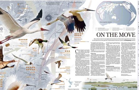 中國已建設(shè)2200多個濕地類型自然保護地 珍稀瀕危鳥類種群數(shù)量顯著增加