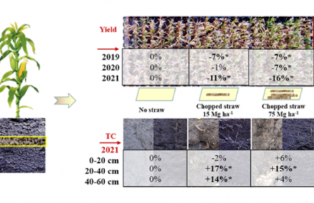 科研團隊研發(fā)出秸稈顆?；吡窟€田技術(shù) 可快速培肥土壤助力增產(chǎn)