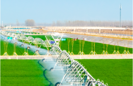 超1.2億畝！2884處大中型灌區(qū)開展春灌