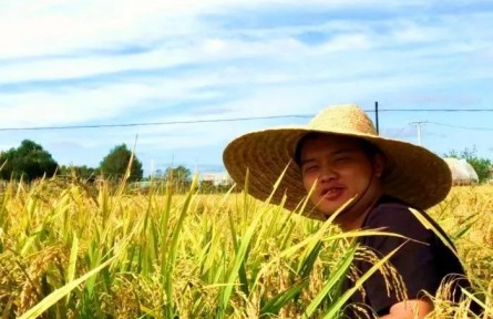 哈工大博士生曾德永“種水稻”，種上天了！