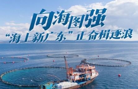 向海圖強(qiáng)！“海上新廣東”正奮楫逐浪