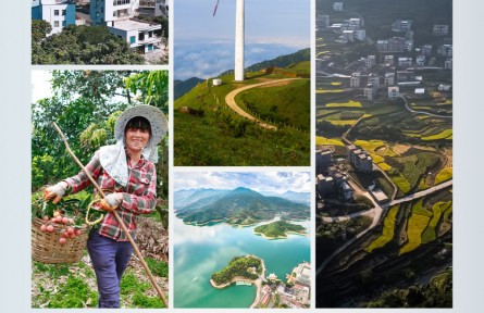 時政新聞眼 | 廣東考察第二天，習(xí)近平重點聚焦這個村