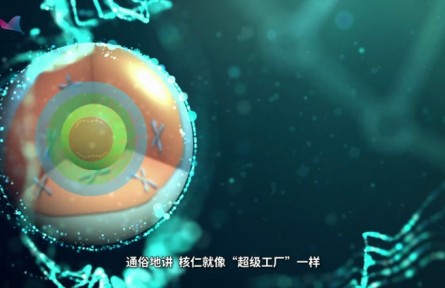 科普 | 上?？茖W家發(fā)現(xiàn)核糖體RNA“超級工廠”的運行新機制