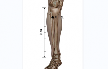 健康問答 | 谷雨養(yǎng)生，有哪些需要注意？