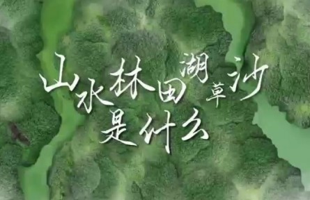 世界地球日 | 山水林田湖草沙是什么？