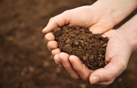 為大地問診把脈，有種無法言說的幸福