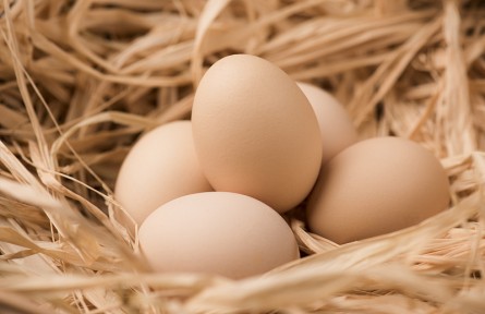 辟謠 | 吃雞蛋會影響心血管嗎？每天到底能吃幾個雞蛋？