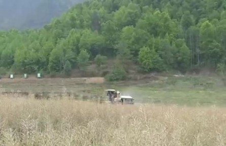 貴州：油菜機收忙 輪作增效益