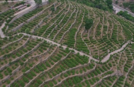 北京門頭溝：推進高標(biāo)準(zhǔn)農(nóng)田建設(shè) 促進農(nóng)業(yè)高質(zhì)量發(fā)展