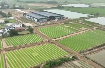 江西南昌新建區(qū)：中稻生產(chǎn)全面鋪開 智能育秧提質(zhì)穩(wěn)產(chǎn)