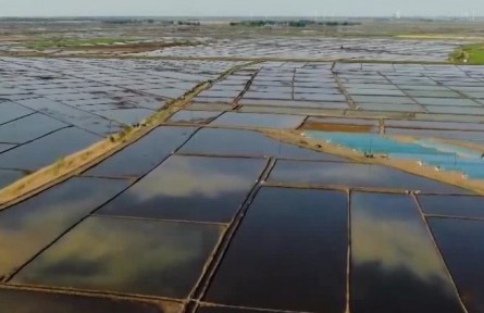 黑龍江：水稻插秧接近尾聲 機械化作業(yè)提升效率