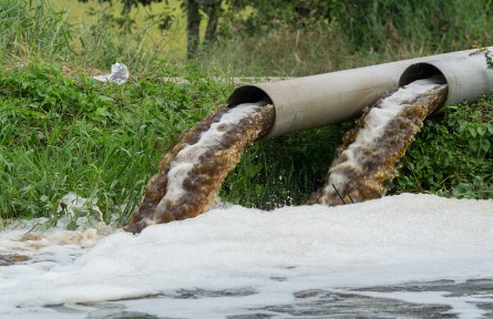 科技名詞 | 水污染  water pollution