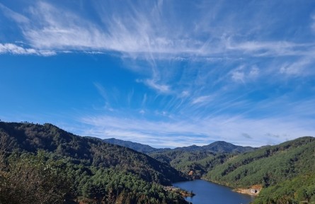 物種故事 | 水晶蘭：晶瑩剔透的珍稀植物